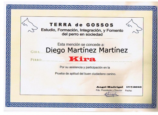 diploma de Kira
